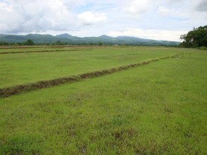 Etude de faisabilité de ferme éolienne aux Philippines