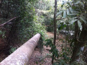 Projet de deux nouvelles centrales hydroélectriques en Haute-Guinée