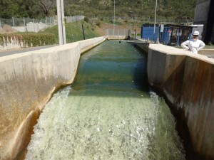 Turbinage du débit sortant d'une station de traitement d'eau d'une chaîne de production