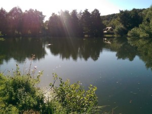 Maîtrise d'oeuvre pour la réhabilitation d'une centrale hydroélectrique