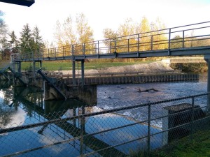 Equipement d'un barrage mobile (clapets déversants) sur la Saône
