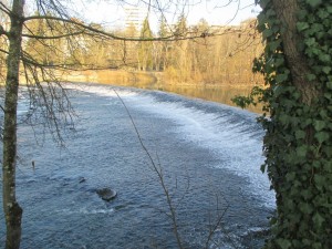 Réhabilitation d'un moulin classé en zone sensible vis-à-vis des aspects paysagers