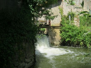 Etude de faisabilité pour la réhabilitation d'une ancienne scierie