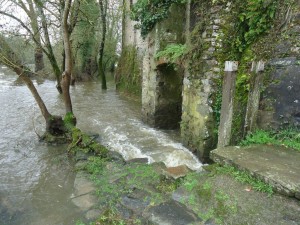 Faisabilité de la remise en service d'un moulin sur la Sèvre Nantaise