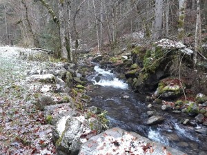 Réhabilitation d'une ancienne centrale sur un torrent de montagne