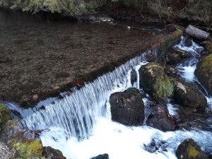 Réhabilitation d'une ancienne centrale sur un torrent de montagne