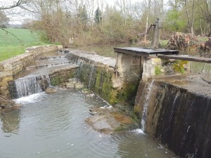 Rédaction de trois dossiers de demande de reconnaissance de droits fondés en titre