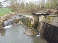 Rédaction de trois dossiers de demande de reconnaissance de droits fondés en titre