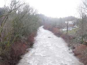 Avant-projets détaillés pour appel d'offres de la CRE