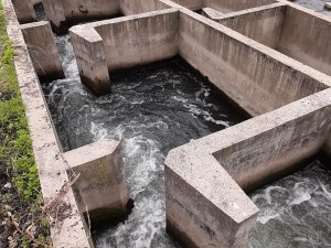 Audit technique de la centrale hydroélectrique de Ray-sur-Saône