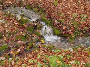 Etude d'une microcentrale hydroélectrique sur une source d'eau potable