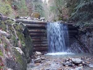Avant-projet et demande d'autorisation pour la réalisation d'une centrale à l'emplacement d'une ancienne scierie