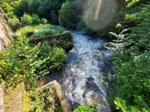 Réhabilitation d'un ancien moulin en autoconsommation