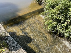 Etude de faisabilité pour la réhabilitation d'un ancien moulin sur la Grosne selon le CDG de l'ADEME
