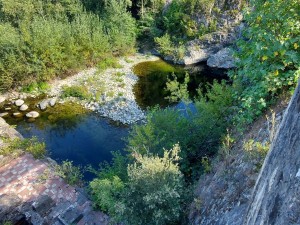 Etude de potentiel pour la réhabilitation d'une ancienne usine en Corse