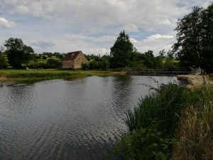 Etude de la réhabilitation d'un ancien moulin sur l'Arconce