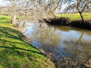 Etude de la réhabilitation d'un ancien moulin sur l'Arconce