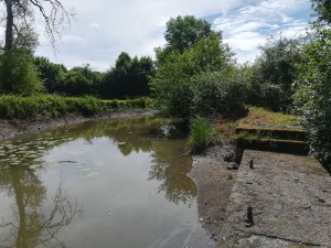 Etude de la réhabilitation d'un ancien moulin sur la Drée