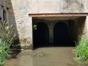 Etude de la réhabilitation d'un ancien moulin sur la Mouge