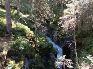 Assistance à maîtrise d'ouvrage et étude de faisabilité en Haute Savoie (74CM)