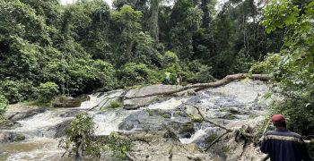 Etudes de faisabilité et d'avant projet de 4 projets de centrales hydroélectriques au Congo Brazza