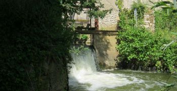 Etude de faisabilité pour la réhabilitation d'une ancienne scierie