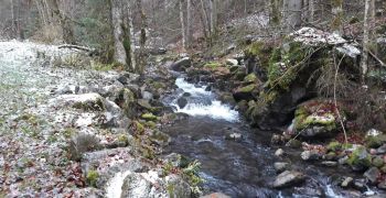 Réhabilitation d'une ancienne centrale sur un torrent de montagne