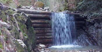 Avant-projet et demande d'autorisation pour la réalisation d'une centrale à l'emplacement d'une ancienne scierie