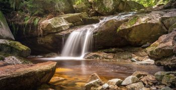 Etude de faisabilité pour la réhabilitation d'un ancien moulin sur la Sorgue