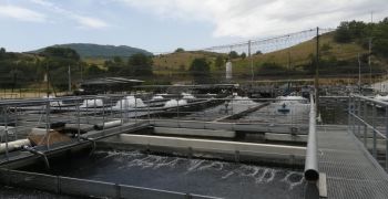 Etude de valorisation énergétique de 2 chutes dans une pisciculture