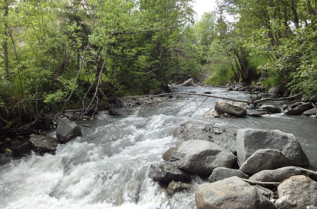 Construction d&rsquo;une nouvelle centrale sur un torrent de montagne