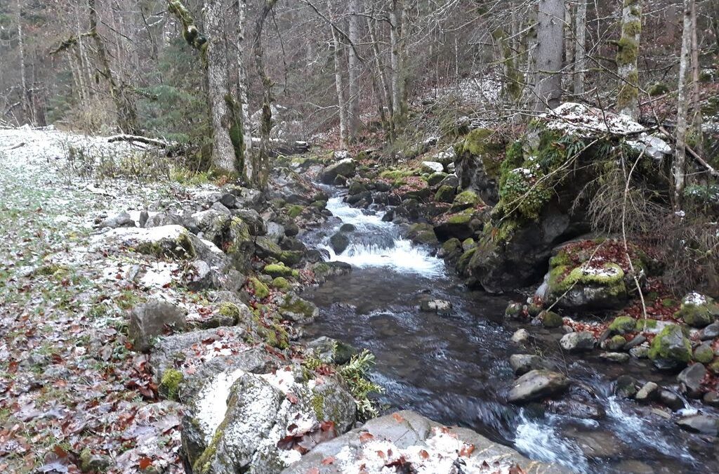 Réhabilitation d&rsquo;une ancienne centrale sur un torrent de montagne