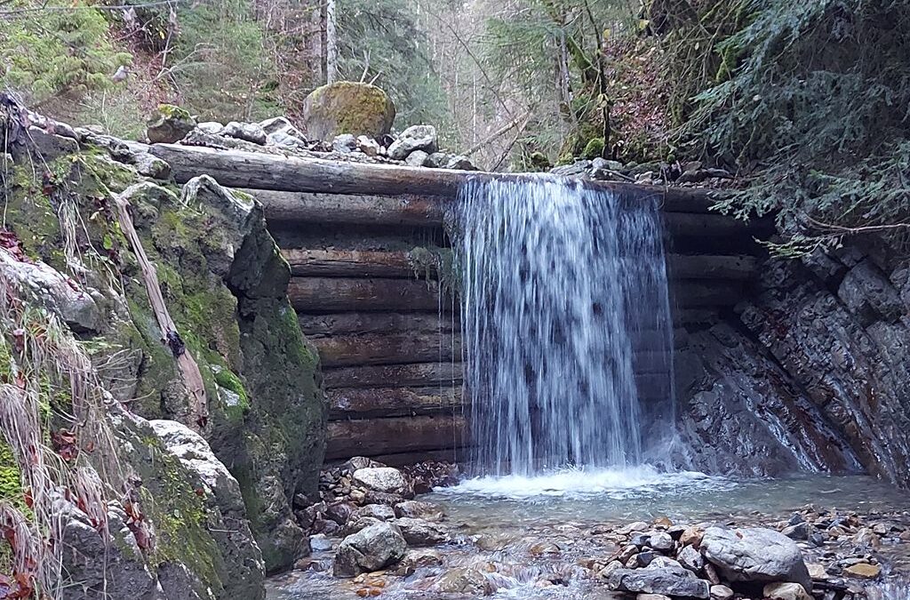 Avant-projet et demande d&rsquo;autorisation pour la réalisation d&rsquo;une centrale à l’emplacement d&rsquo;une ancienne scierie