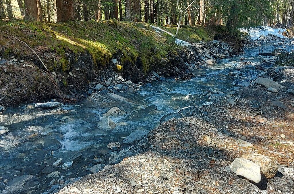 Assistance à maîtrise d&rsquo;ouvrage et étude de faisabilité en Haute Savoie