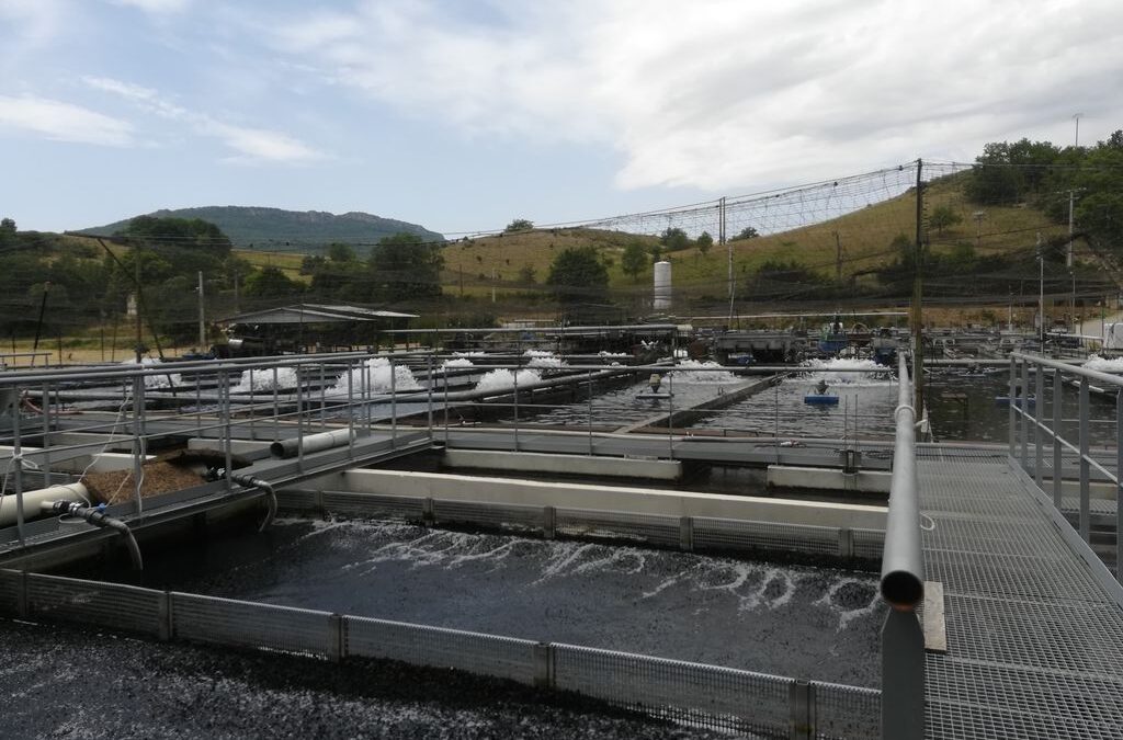 Etude de valorisation énergétique de 2 chutes dans une pisciculture