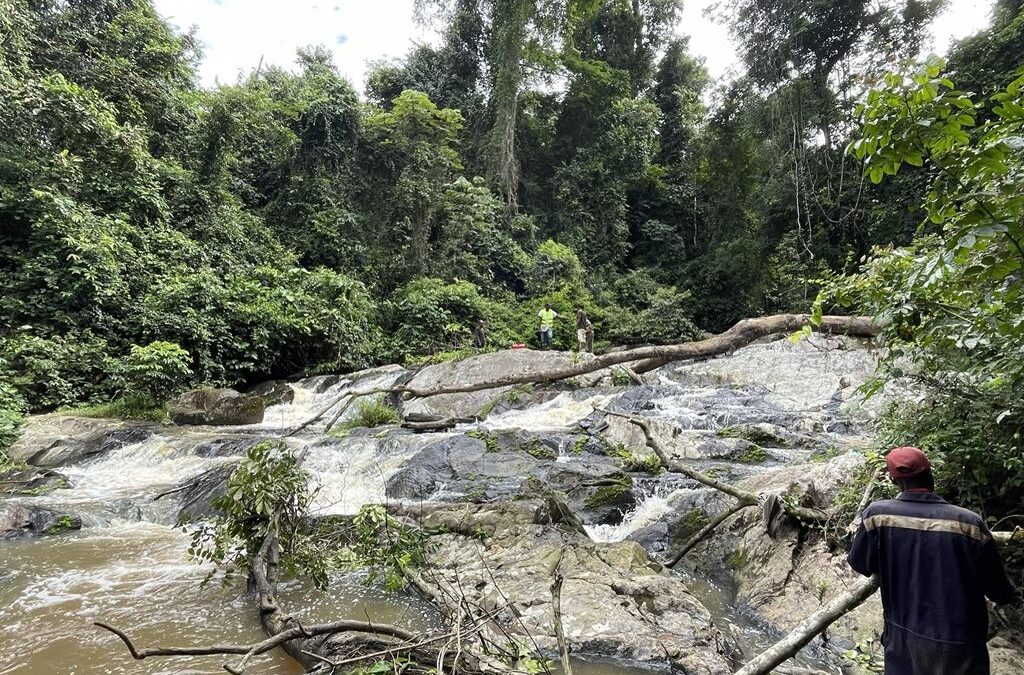 Etudes de faisabilité et d&rsquo;avant projet de 4 projets de centrales hydroélectriques au Congo Brazza
