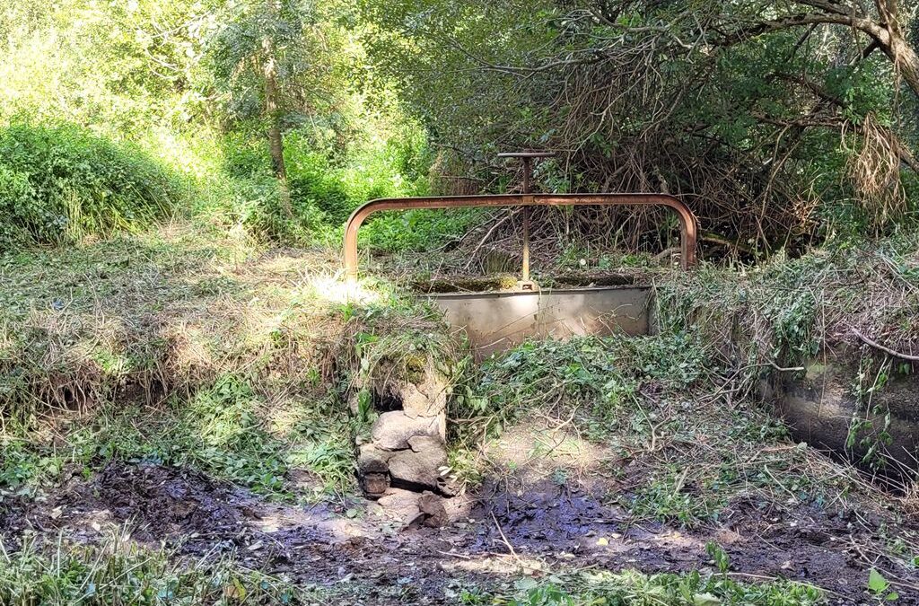 Etude d&rsquo;AVP d&rsquo;un ancien moulin dans la Creuse