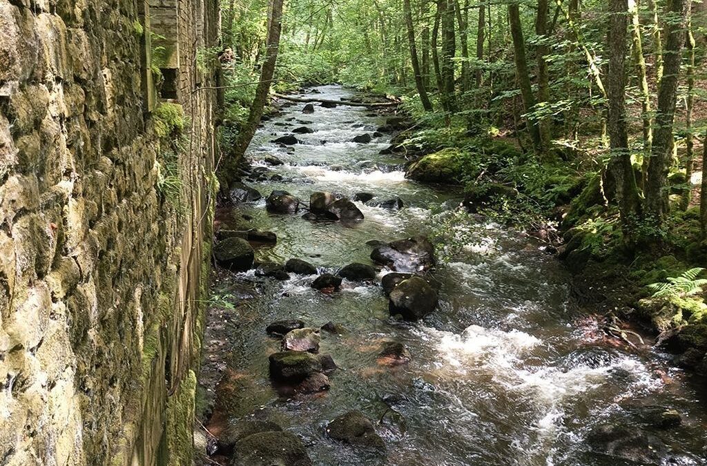 Etude de faisabilité de la rénovation hydroélectrique d&rsquo;une ancienne forge dans les Vosges
